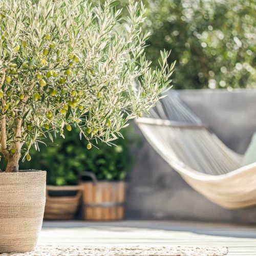 Mediterrane Pflanzk&uuml;bel