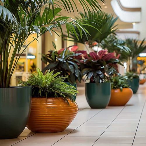 Passage mit Indoorpflanzen